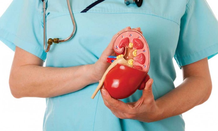 TIPS FOR HEALTHY KIDNEYS